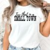 Try That In A Small Town Sweatshirt Try That In A Small Town Shirt Try That In A Small Town Tee Shirt Jason Aldean Shirt