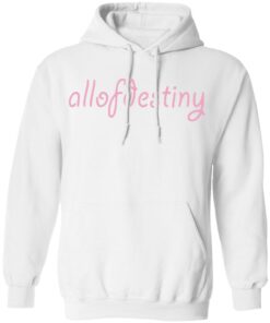 AllofDestiny Disney Destiny Hoodie AllofDestiny Disney Destiny Hoodie