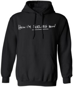 Charli Xcx Merch How I’m Feeling Now Black Pullover Charli Xcx Merch How I’m Feeling Now Black Pullover