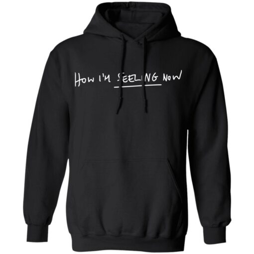 Charli Xcx Merch How I’m Feeling Now Black Pullover