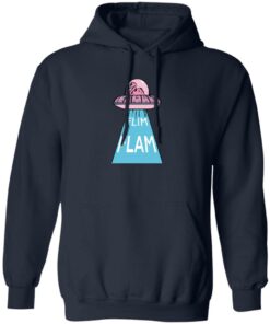 Flimflam Merch UFO Hoodie Flimflam Merch UFO Hoodie