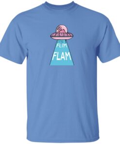 Flimflam Merch UFO Youth Flimflam Merch UFO Youth