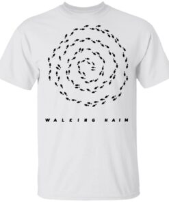 Haim Merch Walking Haim Tee Haim Merch Walking Haim Tee