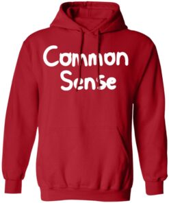 Somethingelseyt Merch Common Sense Hoodie Somethingelseyt Merch Common Sense Hoodie