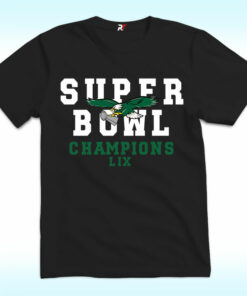 Philadelphia Eagles Super Bowl Champs, Go Birds Shirt Philadelphia Eagles Super Bowl Champs, Go Birds Shirt