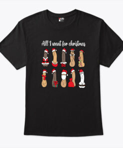 All I Want For Christmas Is Penis Shirt